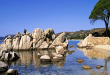 爱游戏娱乐- 今夜菲尼克斯太阳备战意大利杯，官宣签约细节曝光，话题不断，身体对抗强度拉满